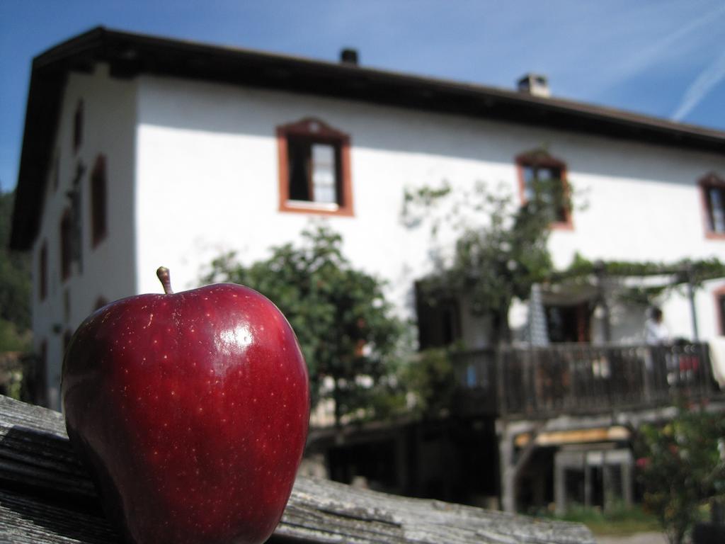Gruberhof Villa San Genesio Atesino Bagian luar foto